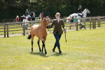 SBM_05577