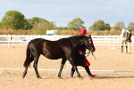 SBM_18319