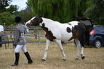 WJ6_8284