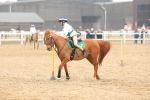 SBM_004358