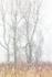 SPRING SNOW STORM #4 - LONG POINT MARSH