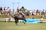 3E7A8597