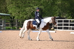 WJ6_6819