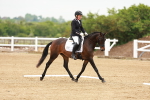 SBM_004946