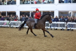 SBM_005050