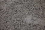 SBM_006617