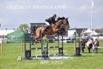 BPP_6393
