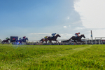 080426-Race 5-Free Pic-0063