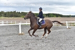 BPP_6240