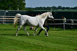 SBM_01049