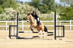 SBM_007558
