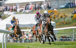 Guernsey Race Club Horse Racing 2018-14