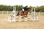 SBM_007320