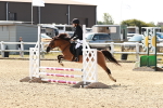 SBM_000646