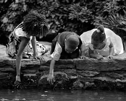 Family portfolio