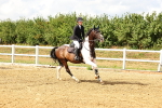 SBM_002685
