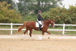 SBM_01449