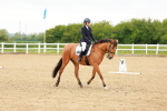 SBM_004916
