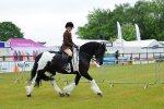 SBM_00877