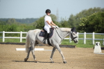SBM_007394