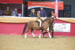 SBM_12493