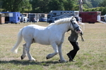 WJ6_4543