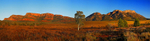 Wilpena Pound Panorama.