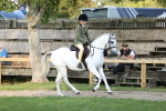 SBM_29463