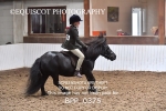 BPP_0375