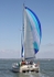 090413 KOUBA IMG_2217