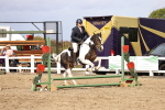SBM_02794