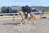 BPP_7688