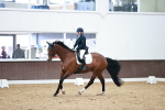 SBM_001492