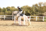 SBM_000561