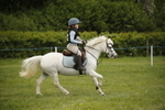 Class 2 - 30cm-40cm Unassisted portfolio