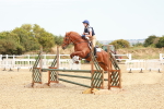 SBM_004433