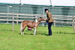 SBM_03641