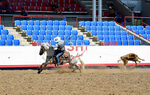 3HRodeo8-11-25_PRCASteer_01585_