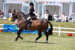 3E7A8999