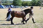 WJ6_8575