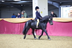 SBM_18995