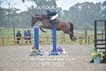 BPP_0582