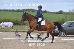 BPP_6526