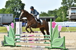 Cls 51 British Novice 90cm Open portfolio