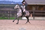 90-95cm Arena Eventing portfolio
