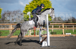 Junior Showjumping_10-11-2019-5