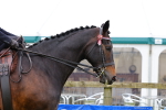 SBM_02798
