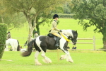SBM_75025