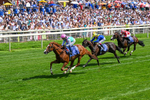 270626-Race 4-Qirat-0281