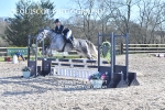 CLASS 9 SAT Pony Discovery / 90cm Open portfolio
